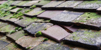 Papworth Everard roof repair costs